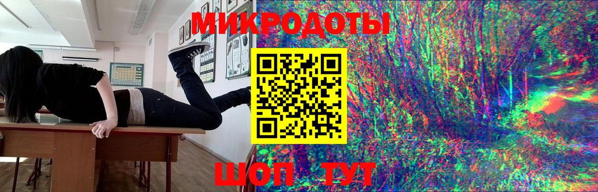 Галлюциногенные грибы Psilocybine cubensis Лесной